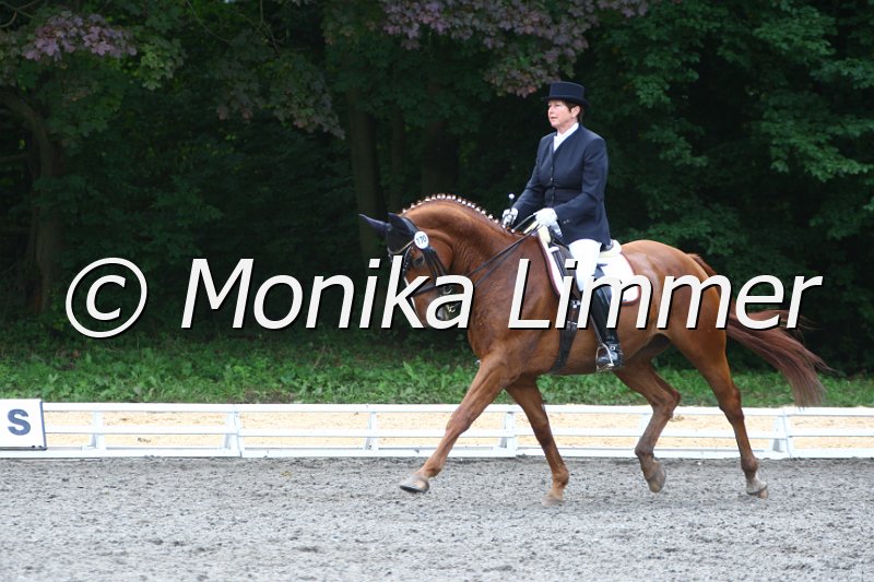 009M2837_Wolkenstuermer_Dressur Mxx.JPG